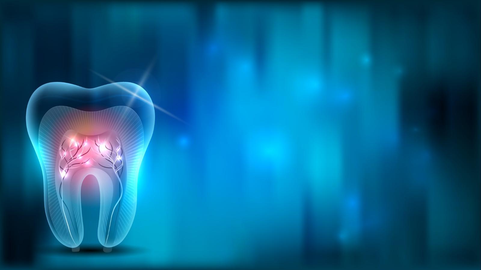 Qué es una endodoncia tipos y procedimientos.